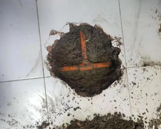 龙子湖查漏水多少钱