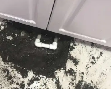 龙子湖查漏水哪家好