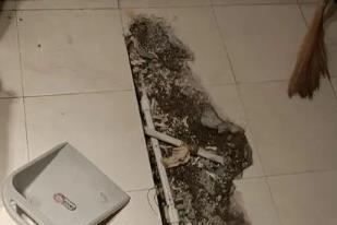 龙子湖卫生间漏水检测电话